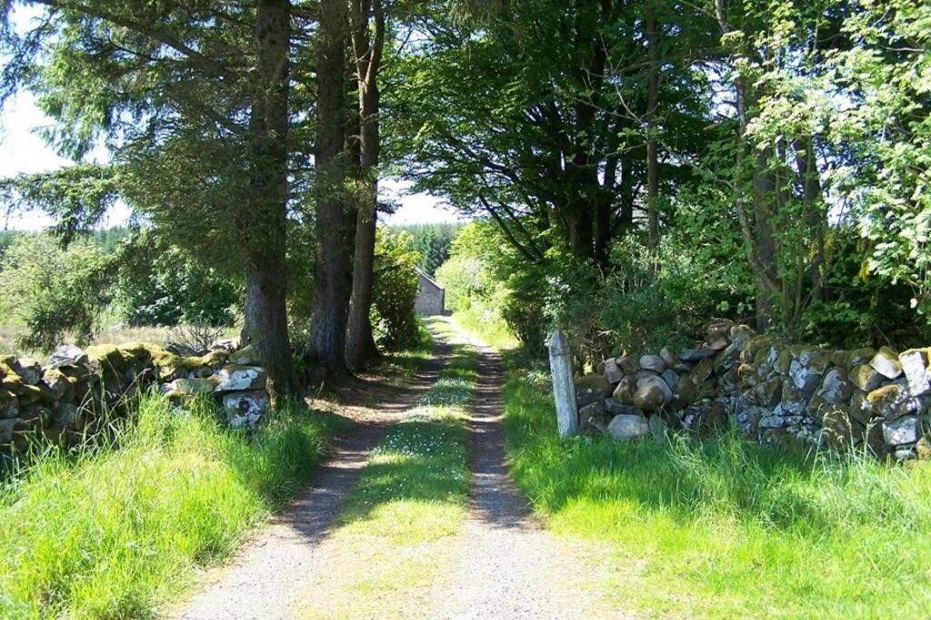 Maberry Cottage Bargrennan Exteriör bild