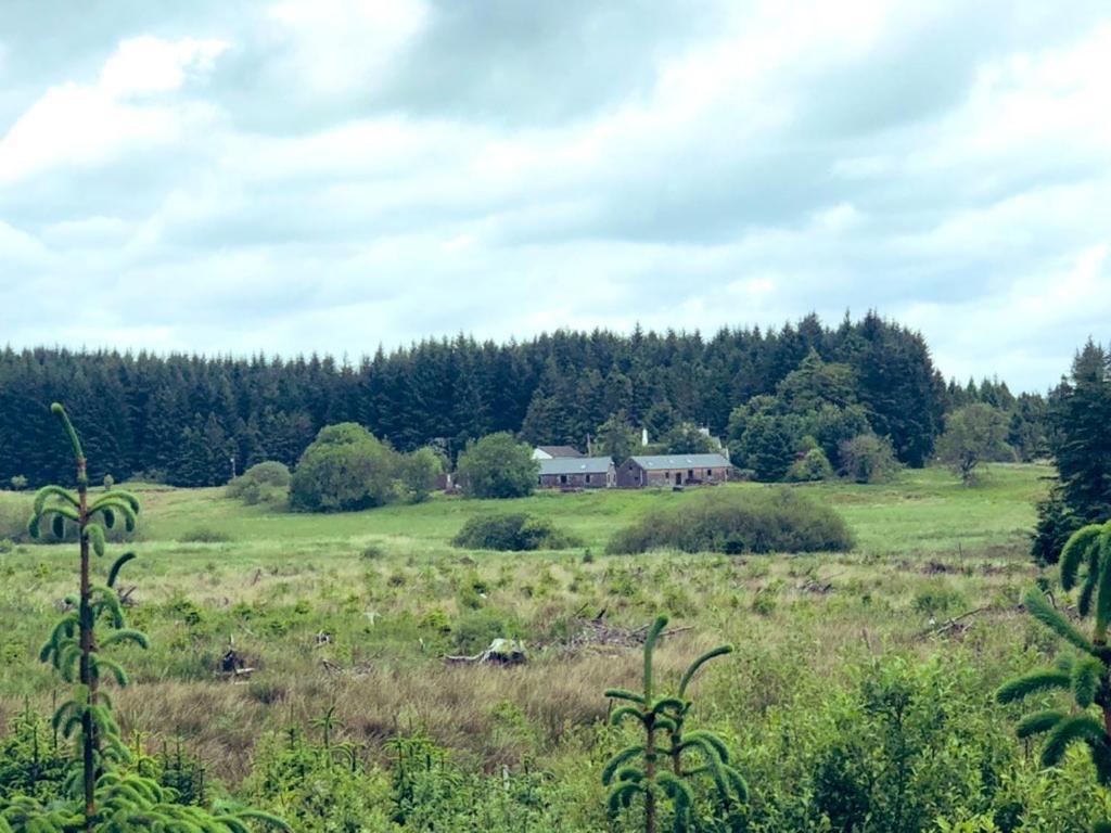 Maberry Cottage Bargrennan Exteriör bild